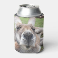 Cara divertida Australia Cría canguro