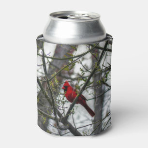 Enfriador De Latas Cardinal