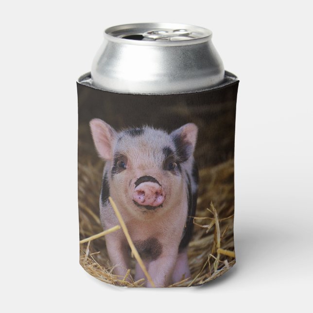 Enfriador De Latas Cerdo dulce (Lata Anverso)
