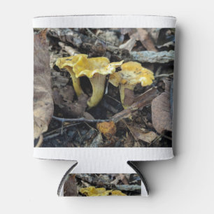 Enfriador De Latas Chanterelle, Cantharellus cibarius