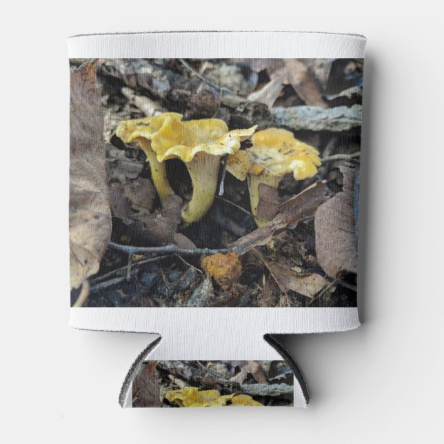 Enfriador De Latas Chanterelle, Cantharellus cibarius (Anverso)