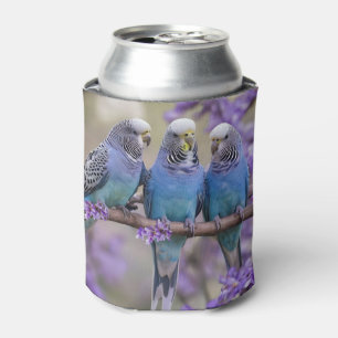 Enfriador De Latas Charla en la Copa del Árbol: Periquitos Azules en