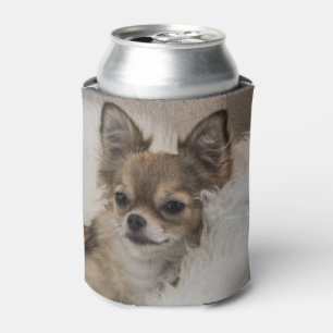 Enfriador De Latas Chihuahua que se relaja