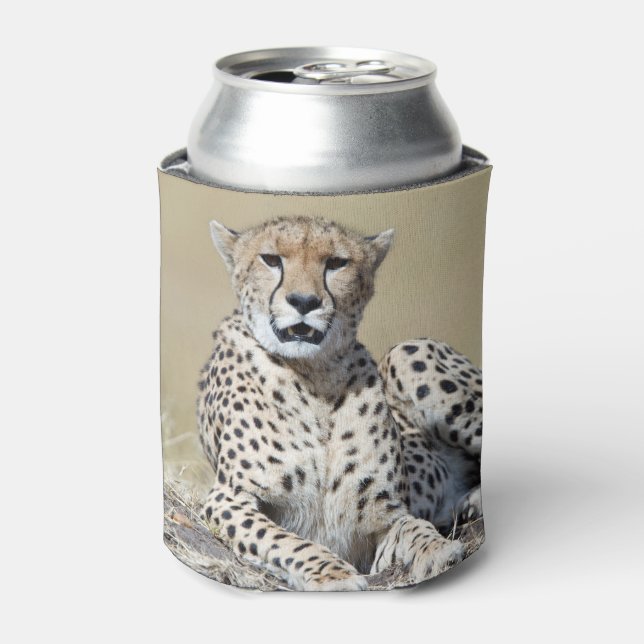 Enfriador De Latas Chita en Masai Mara en Kenia. Foto (Lata Anverso)