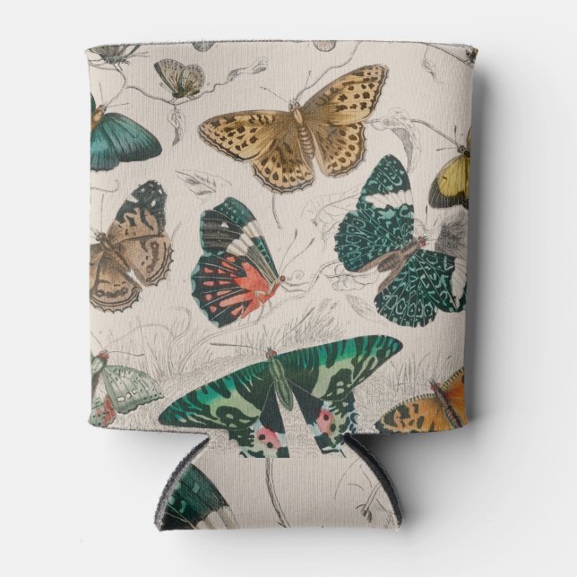 Enfriador De Latas Colección de mariposa Mariposas antiguas (Anverso)