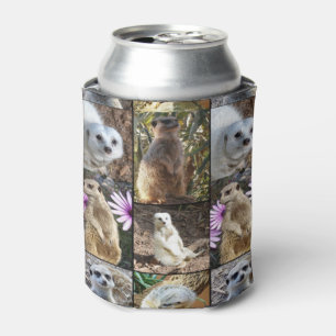 Enfriador De Latas Collage de fotos Meerkat,