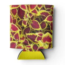 Colorida planta de Coleus deja flores