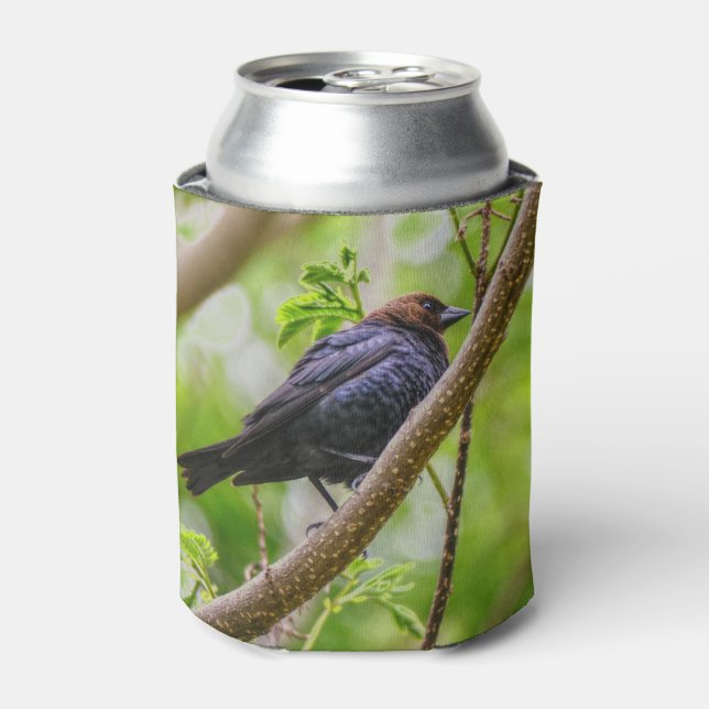 Enfriador De Latas Cowbird marrón (Lata Anverso)