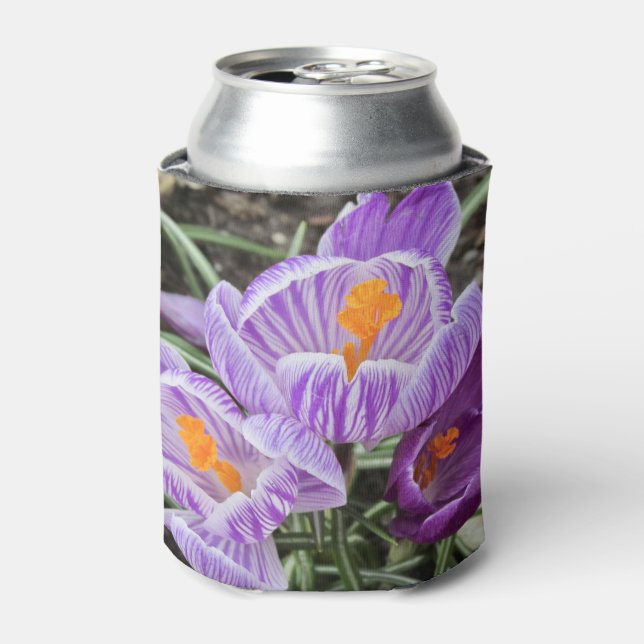Enfriador De Latas Cruces de Primavera Púrpura. (Lata Anverso)