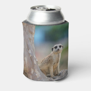 Enfriador De Latas Cute Meerkat Sat en el árbol