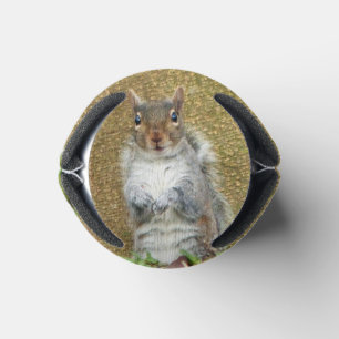 Enfriador De Latas Cute Squirrel