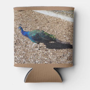 Enfriador de latas de Pavo real azul indio