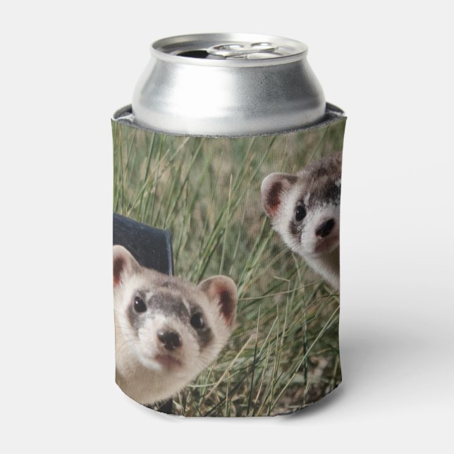 Enfriador De Latas Dos hurones (Lata Anverso)