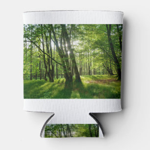 Enfriador De Latas El bosque en primavera