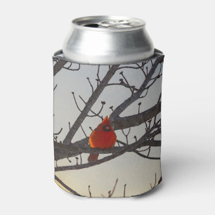 Enfriador De Latas El Cardenal En La Mañana