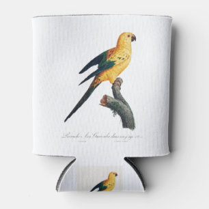 Enfriador De Latas El Sun Parakeet, Aratinga solstitialis