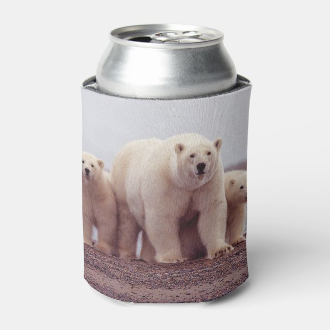 Enfriador De Latas Familia Oso Polar (Lata Anverso)