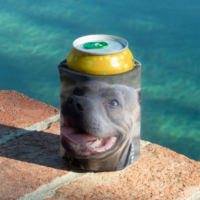 Enfriador De Latas Feliz Staffordshire Bull Terrier, (Piscina in situ)