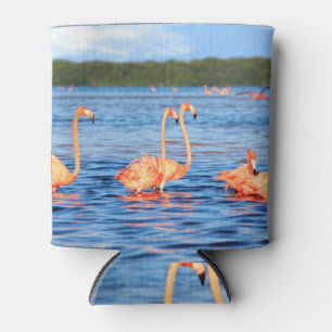 Enfriador De Latas Flamingos rosas: Parque Celestun, México.