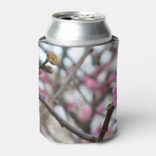 Enfriador De Latas Flor de cerezo rosado / Sakura サ・(桜).