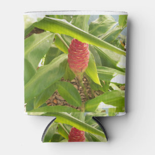 Enfriador De Latas Flor de jengibre