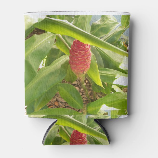 Enfriador De Latas Flor de jengibre (Anverso)