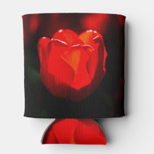 Enfriador De Latas Flor de tulipán rojo - Fuego