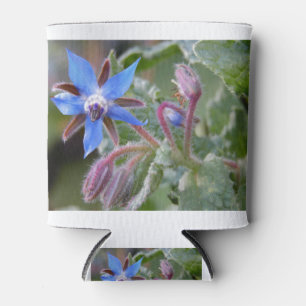 Enfriador De Latas Flor Estrella Borde