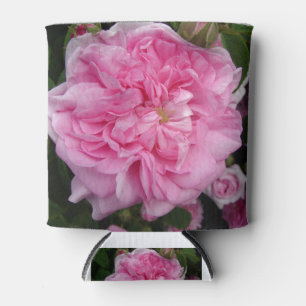 Enfriador De Latas Flores florales de Rosa de color rosa