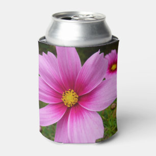 Enfriador De Latas Flores silvestres de cosmos rosa