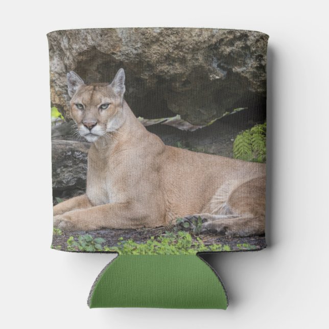 Enfriador De Latas Florida Panther Refrigerador de bebidas (Reverso)