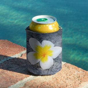 Enfriador De Latas Foto Botánica de Frangipani Tropical