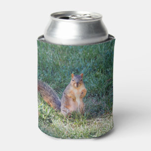 Enfriador De Latas Foto de la ardilla