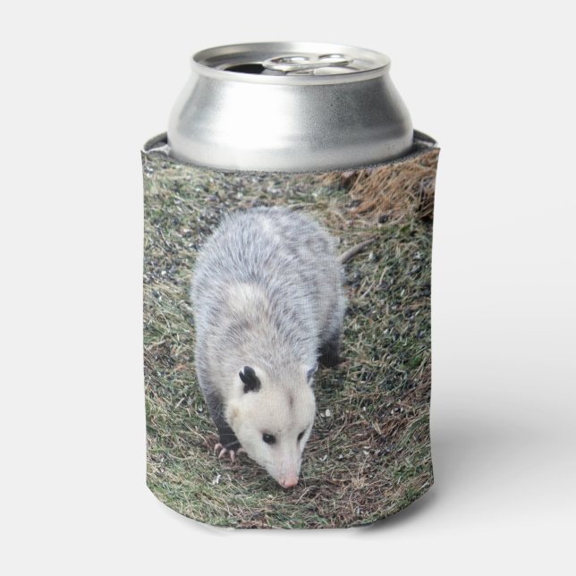 Enfriador De Latas Foto de Opossum (Lata Anverso)