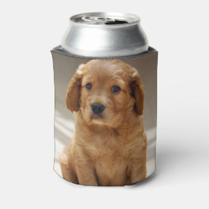 Enfriador De Latas Foto de retrato de cachorro lindo