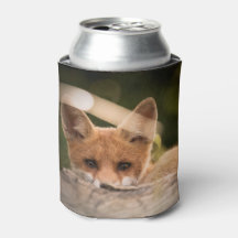 Foto de un Pequeño Naranja Fox