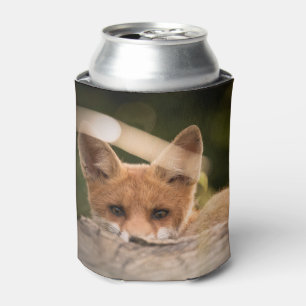 Enfriador De Latas Foto de un Pequeño Naranja Fox