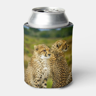 Enfriador De Latas Foto de Wildlife Cheetah