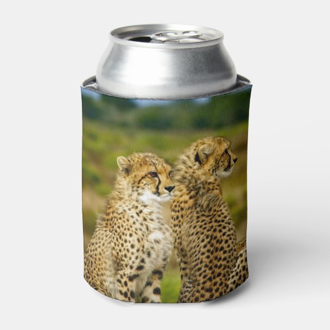 Enfriador De Latas Foto de Wildlife Cheetah (Lata Anverso)