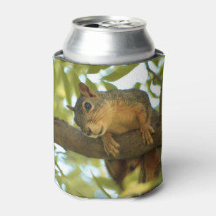 Enfriador De Latas Fotografía de la naturaleza de la ardilla cutánea 