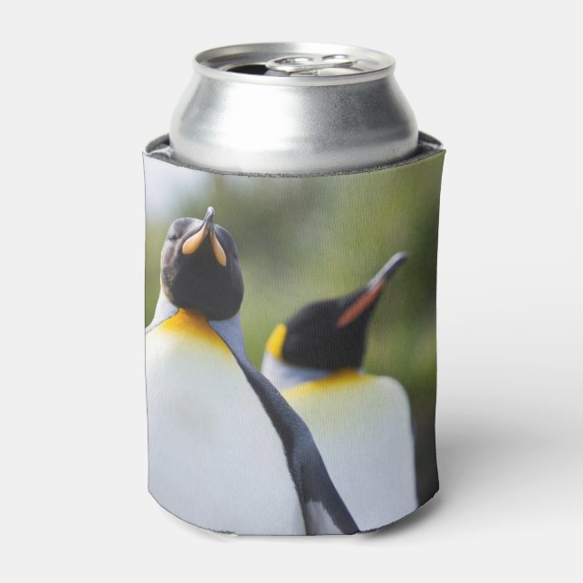 Enfriador De Latas Fotografía de los pingüinos del rey orgulloso (Lata Anverso)