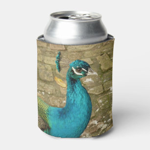 Enfriador De Latas Fotografía de Naturaleza Hermosa del Pavo Real