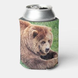 Enfriador De Latas Fotografía de oso pardo adorable