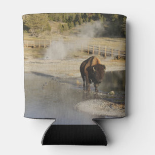 Enfriador De Latas Fotografía de vida silvestre Bison Yellowstone