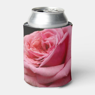 Enfriador De Latas Fotografía floral Rosa I Bonito