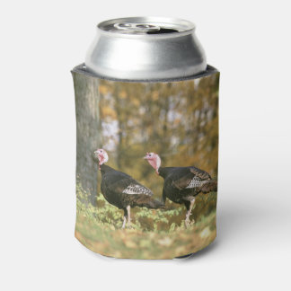 Enfriador De Latas Fotografía masculina de pares turcos en otoño