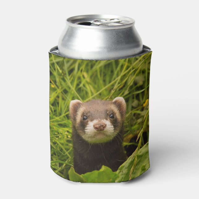Enfriador De Latas Freno marrón en la foto de la hierba (Lata Anverso)