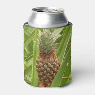 Enfriador De Latas Fruta tropical de la piña silvestre en la naturale