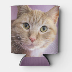 Enfriador De Latas Gato