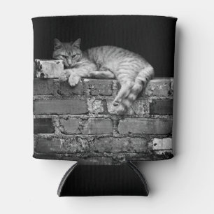Enfriador De Latas Gato en la pared de ladrillo